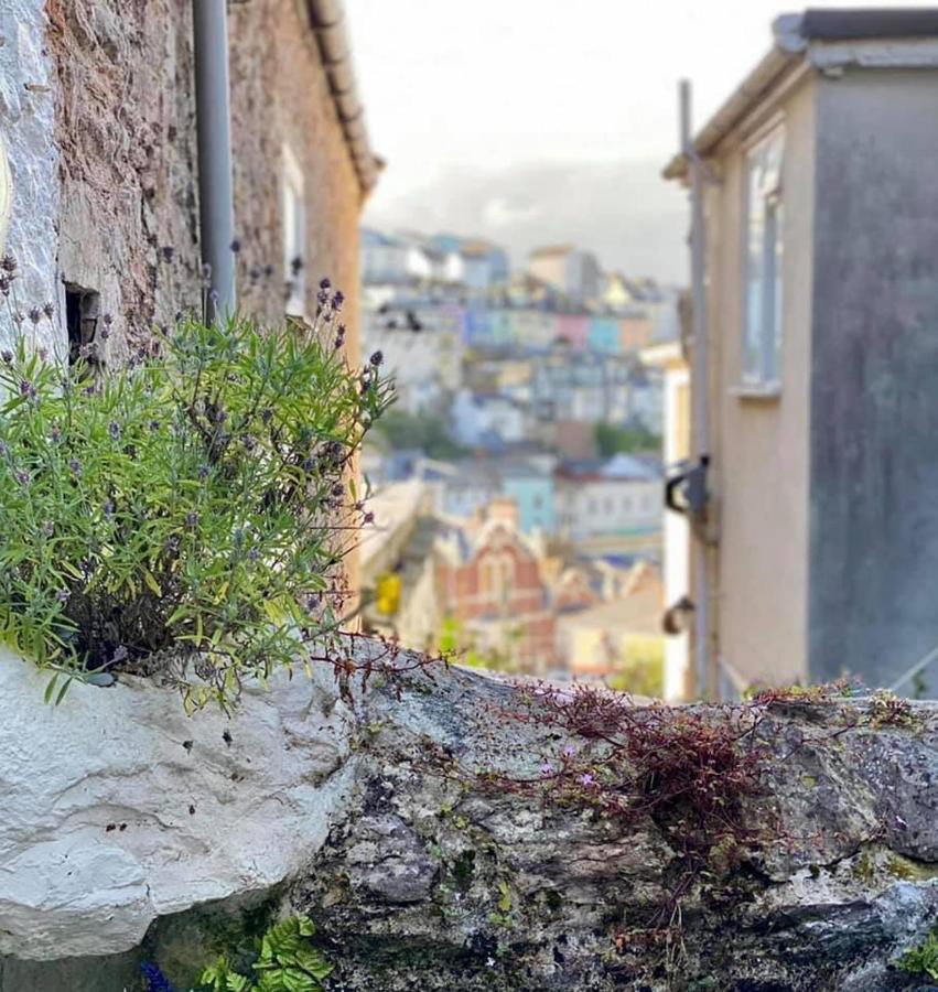 Saltys Cottage, Brixham - 2 Min Walk To The Harbour Buitenkant foto