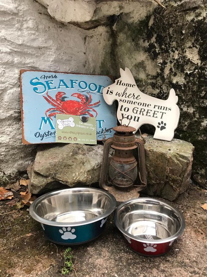 Saltys Cottage, Brixham - 2 Min Walk To The Harbour Buitenkant foto
